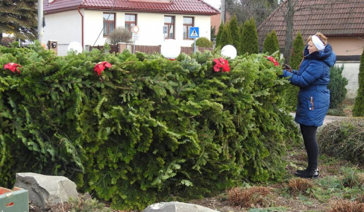 Zobraziť fotografiu