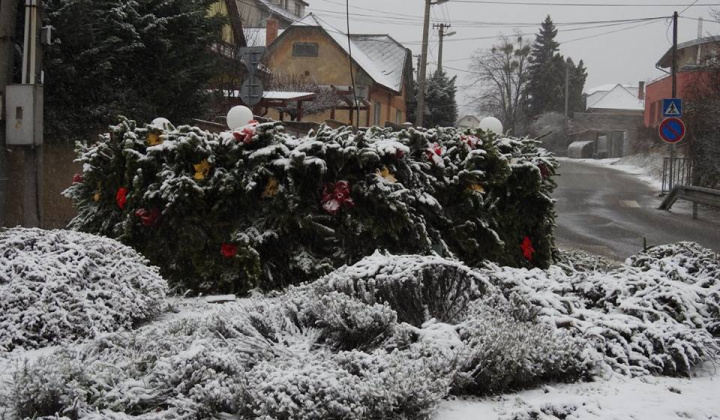 Zobraziť fotografiu