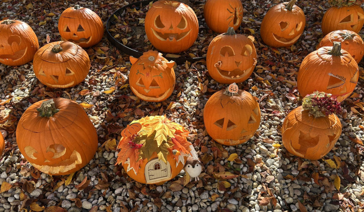 Zobraziť fotografiu