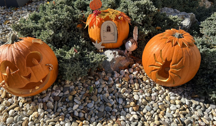 Zobraziť fotografiu