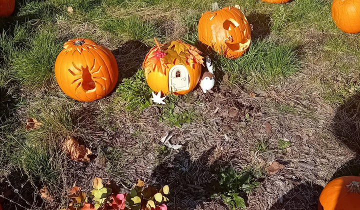 Zobraziť fotografiu